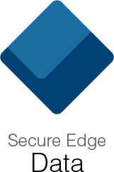 Secure Edge Accelerators | Blue Cedar